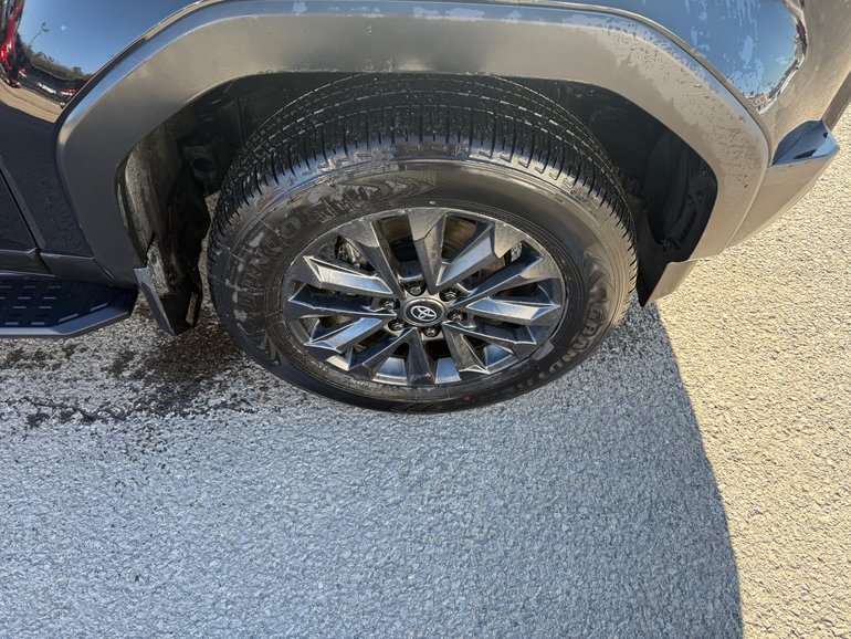 2024 Toyota Land Cruiser