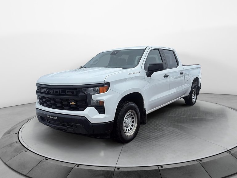 Chevrolet Silverado 1500 Work Truck 2022