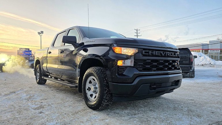 2022 Chevrolet Silverado 1500