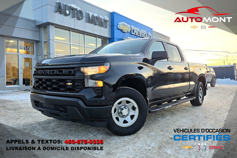 2022 Chevrolet Silverado 1500