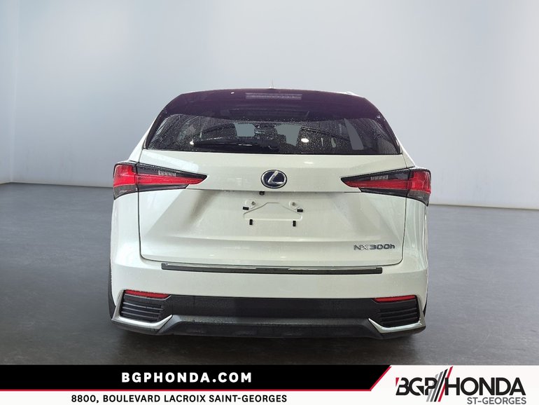 2021 Lexus NX