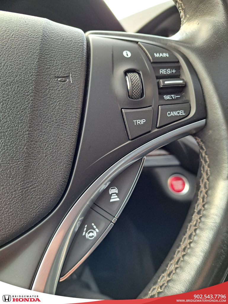 Image 19