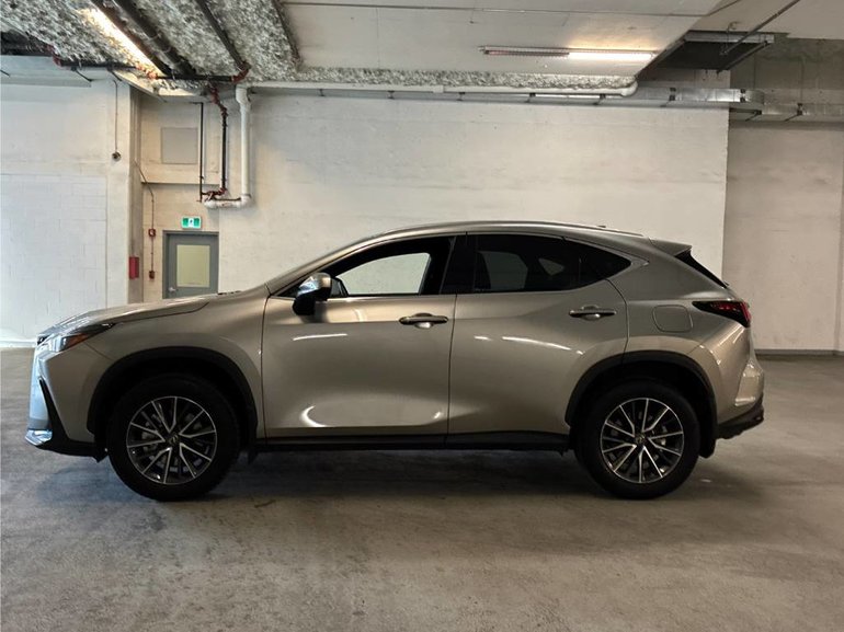 2025 Lexus NX