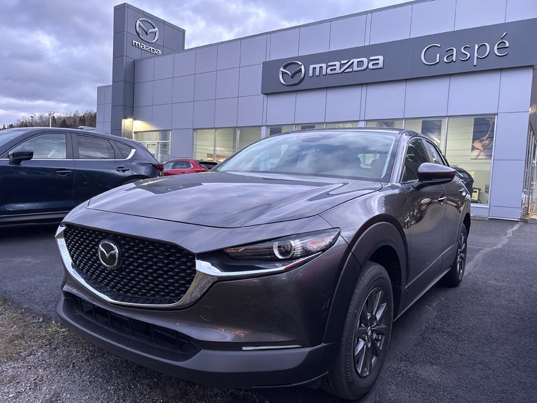 2025 Mazda CX-30 GX 2.5L AWD (EXTRA MACHINE GREY PAINT) 2.5L