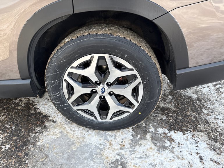 2022 Subaru Forester