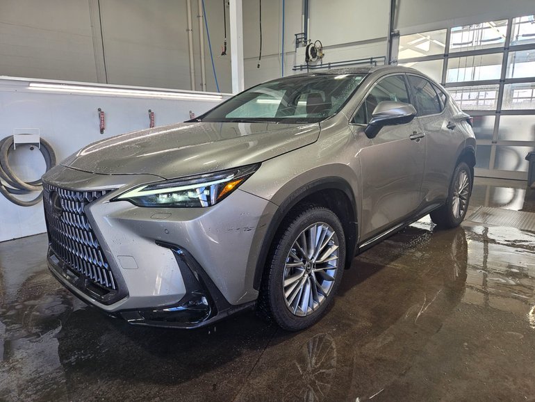 2023 Lexus NX