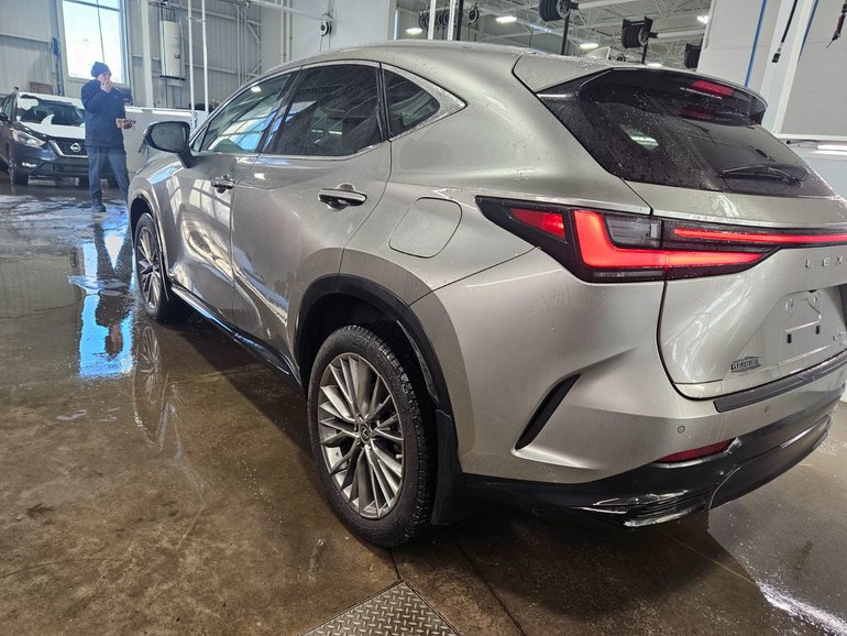 2023 Lexus NX