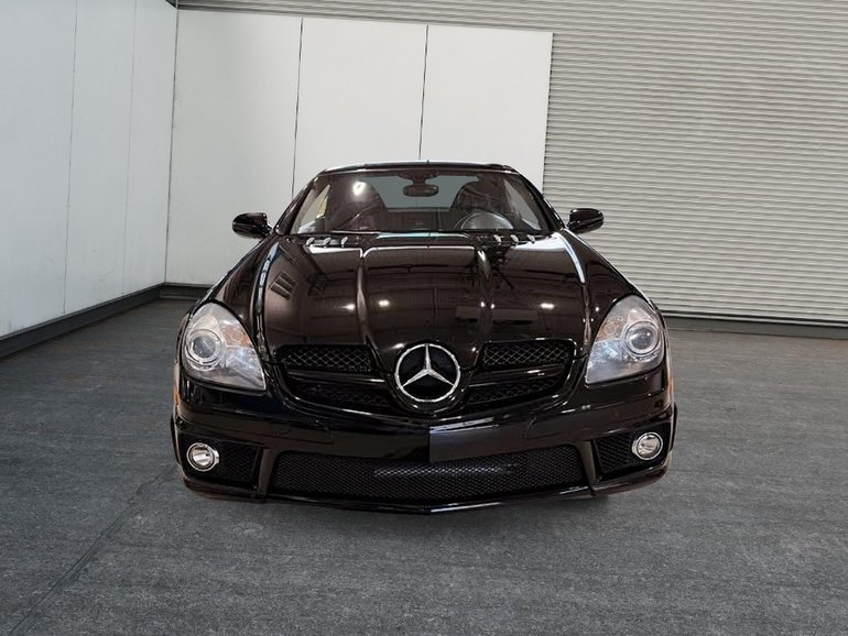 2010 Mercedes-Benz SLK-Class