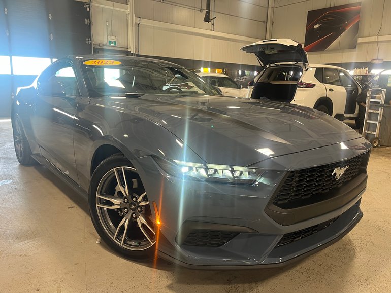 2025 Ford MUSTANG ECOBOOST PREMIUM