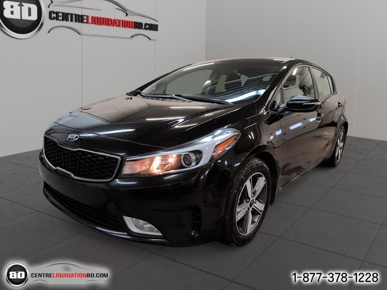 2018 Kia Forte5
