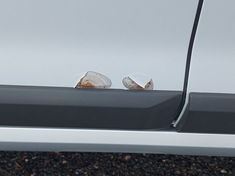 Image 18