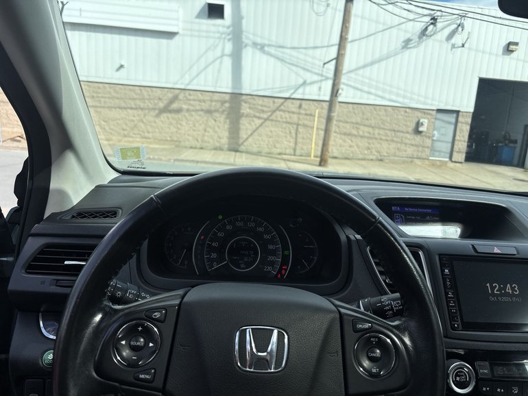 Image 12