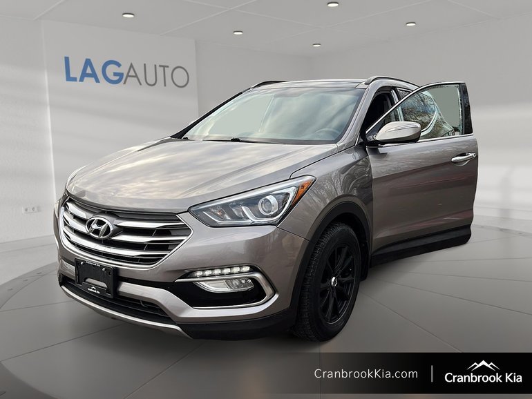 2017 Hyundai SANTA FE SPORT