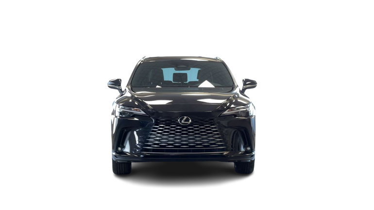 2025 Lexus RX
