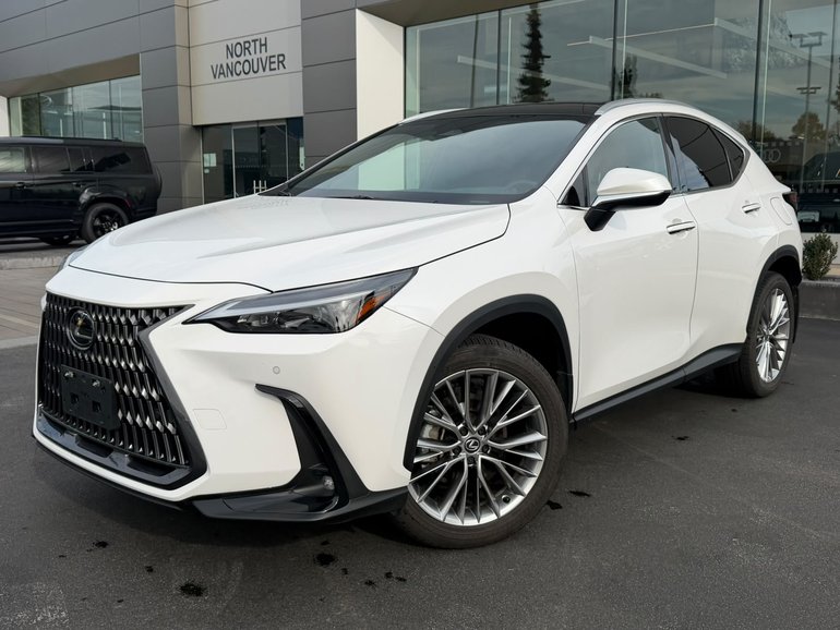 2025 Lexus NXh