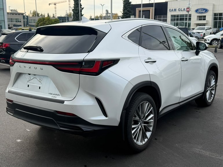 2025 Lexus NXh