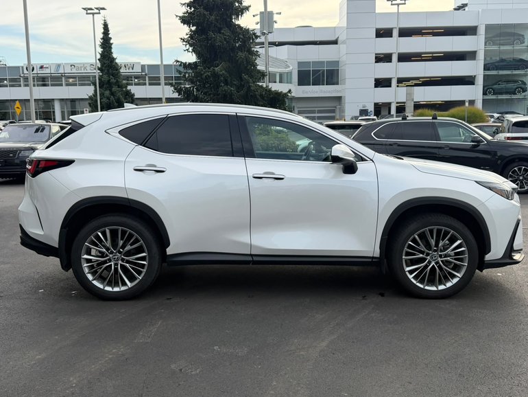 2025 Lexus NXh