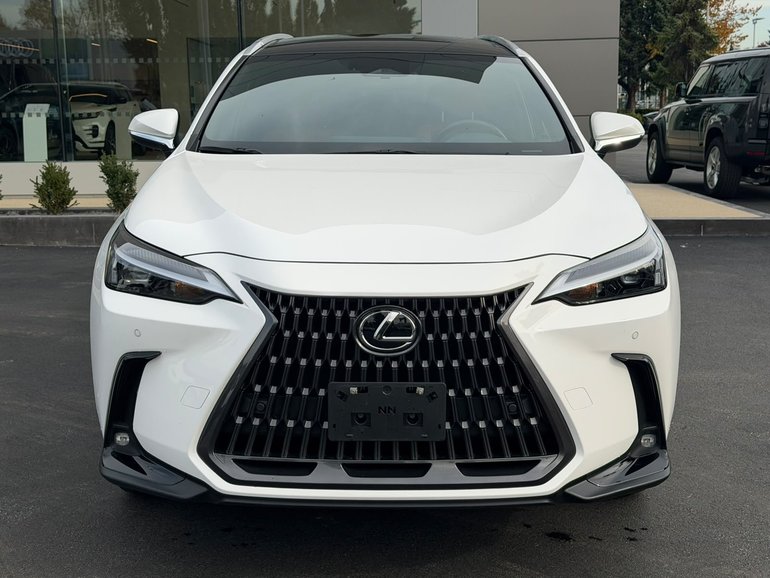 2025 Lexus NXh