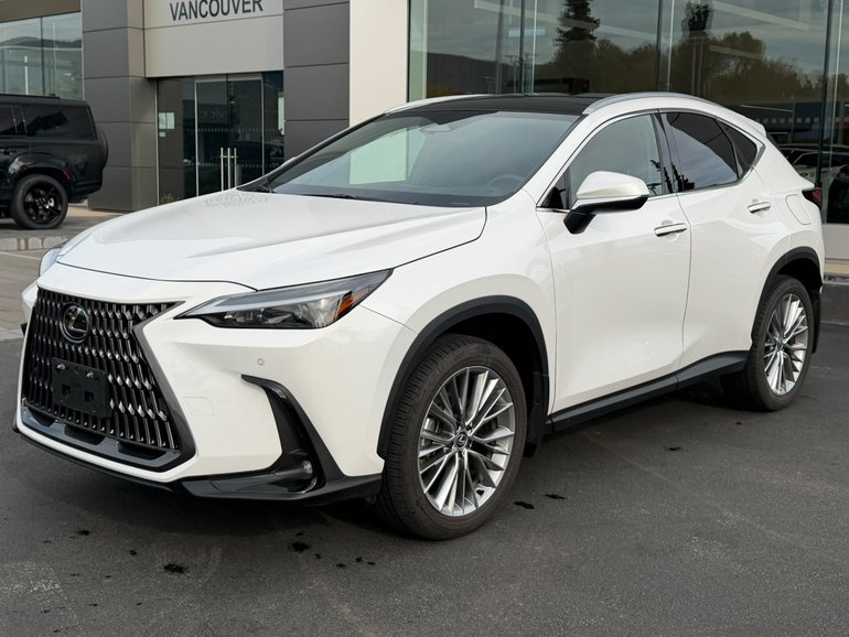 2025 Lexus NXh