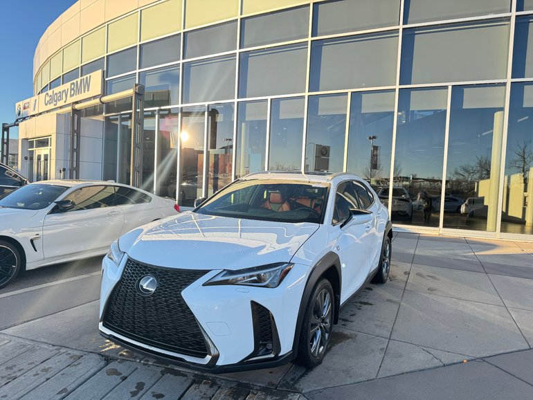 2020 Lexus UX 250h
