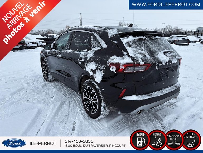2024 Ford Escape
