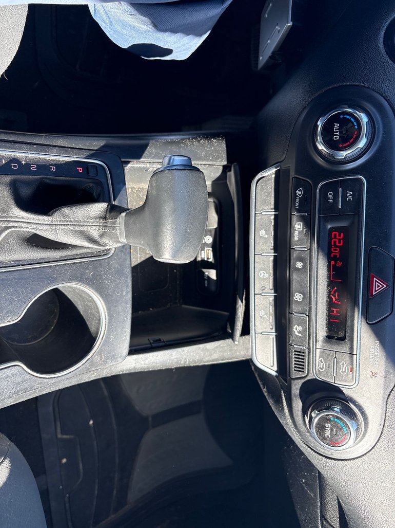Image 19