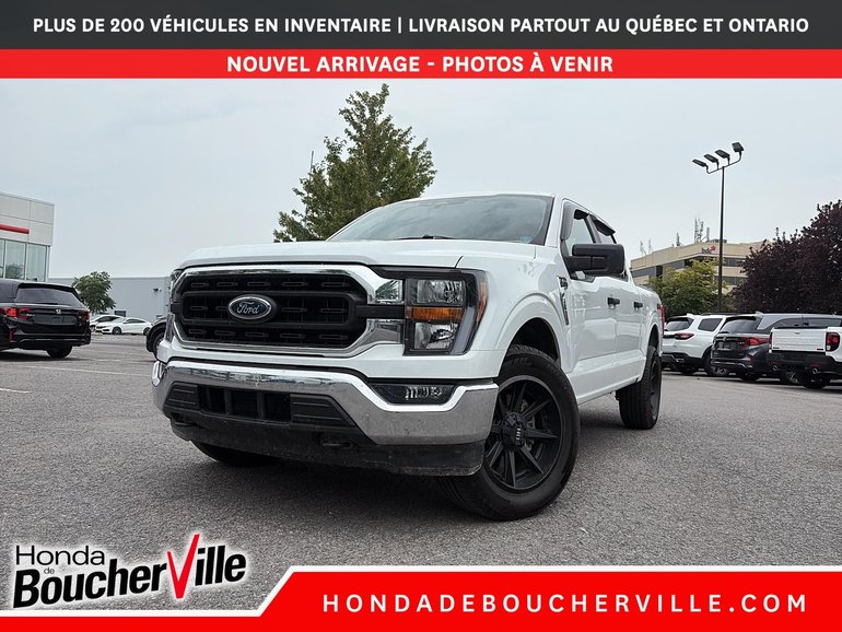 Ford F-150 XLT 2023