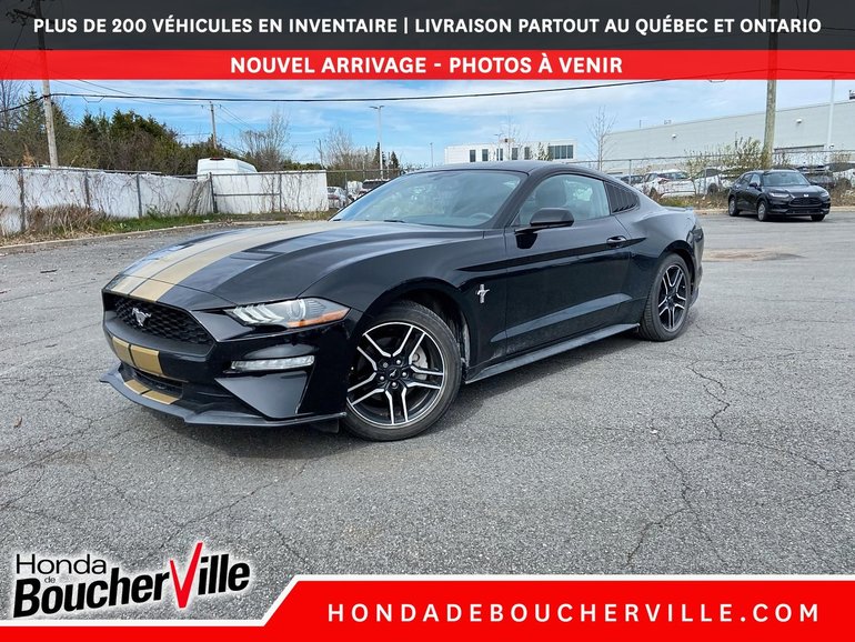 2019 Ford Mustang ECOBOOST