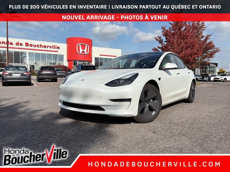 Tesla Model 3 STD RANGE + 2023