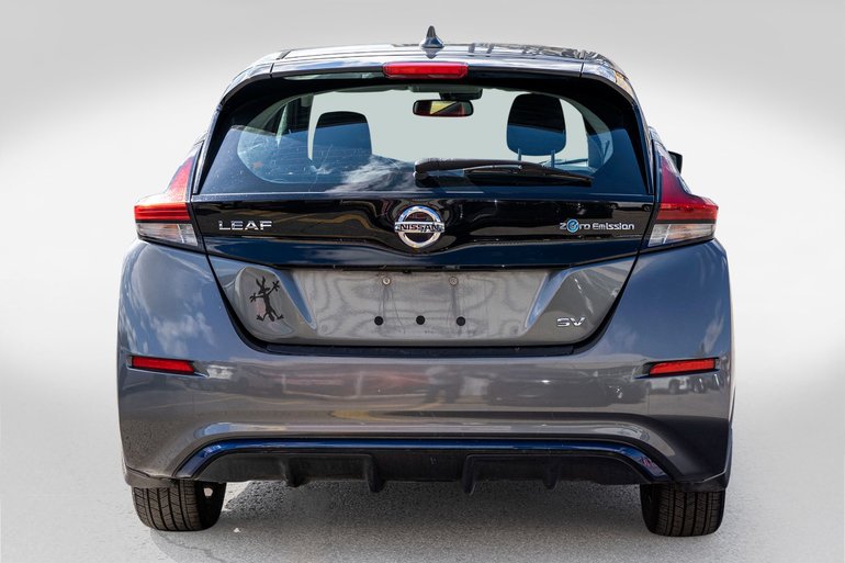2019 Nissan LEAF
