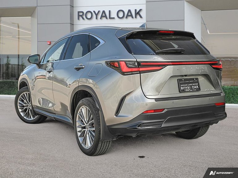 2022 Lexus NX