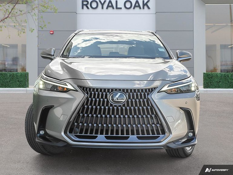 2022 Lexus NX