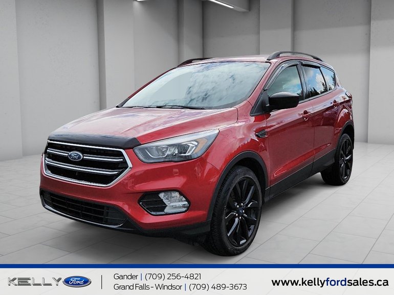 2019 Ford Escape