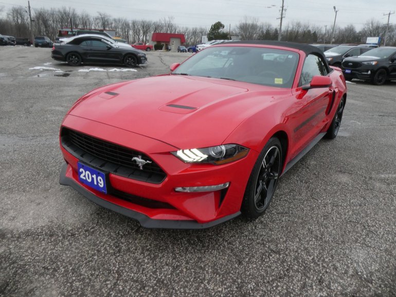 2019 Ford MUSTANG