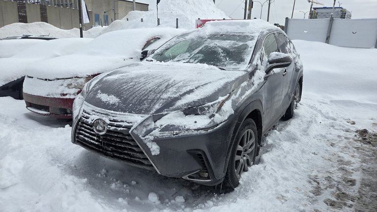 2019 Lexus NX