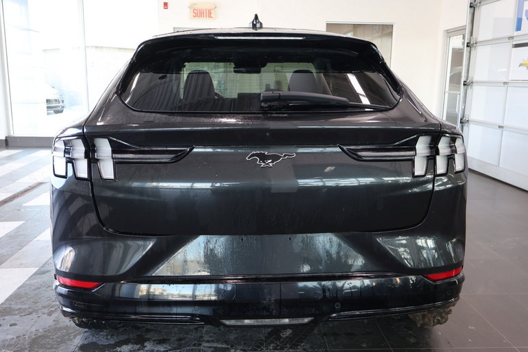 2021 Ford Mustang Mach-E