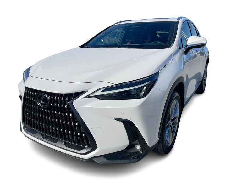2022 Lexus NX