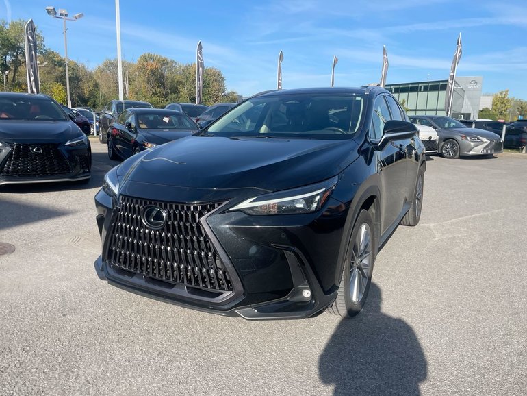 2022 Lexus NX