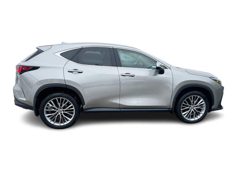 2022 Lexus NX