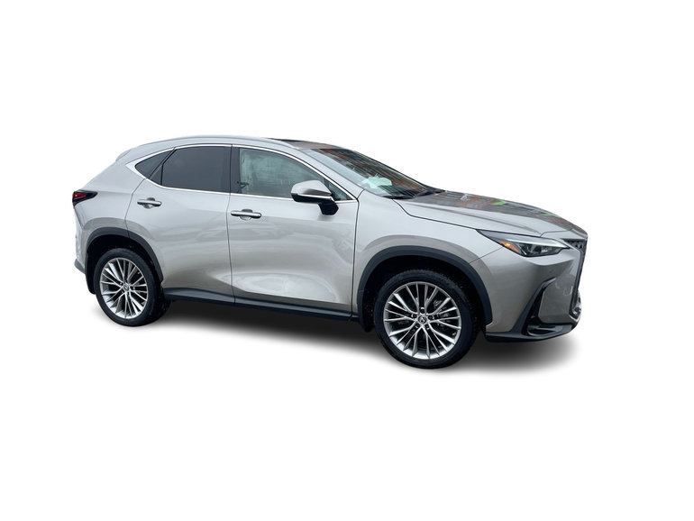 2022 Lexus NX