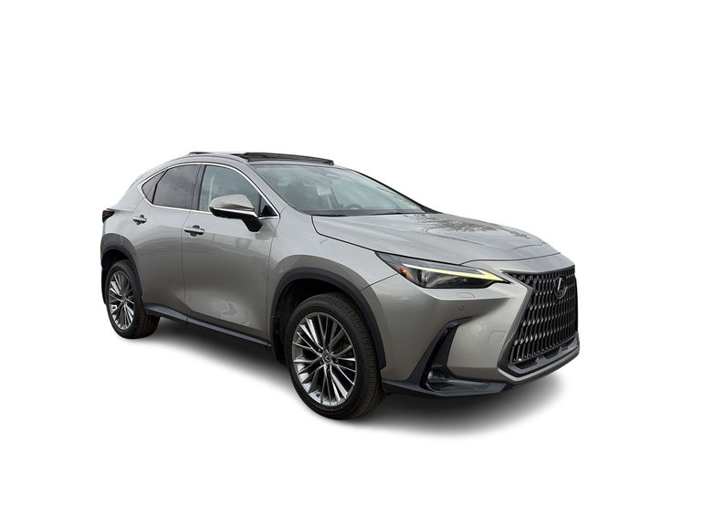 2022 Lexus NX