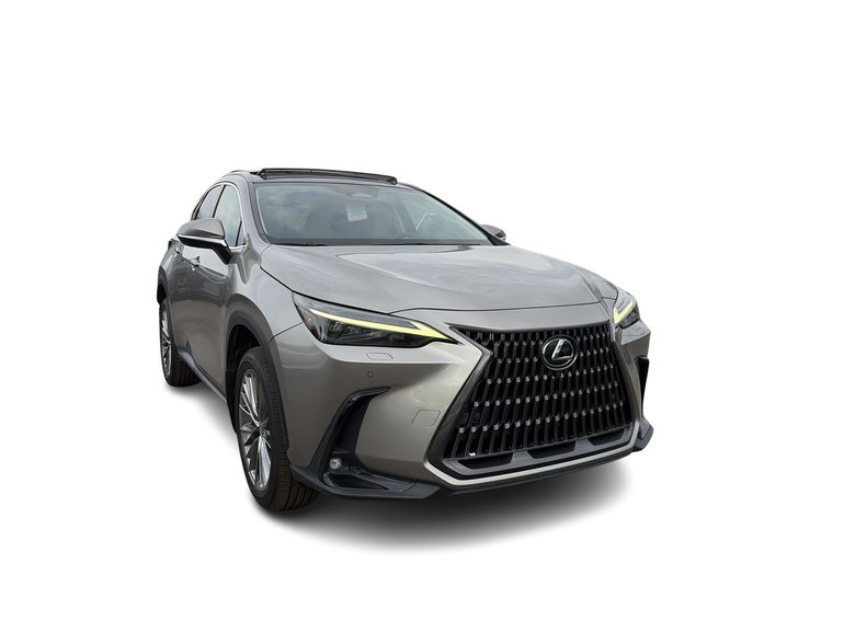 2022 Lexus NX