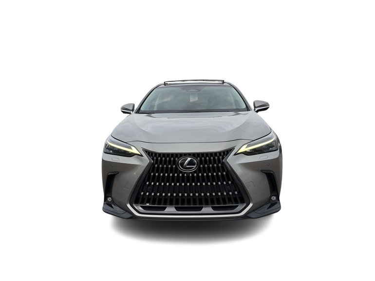 2022 Lexus NX