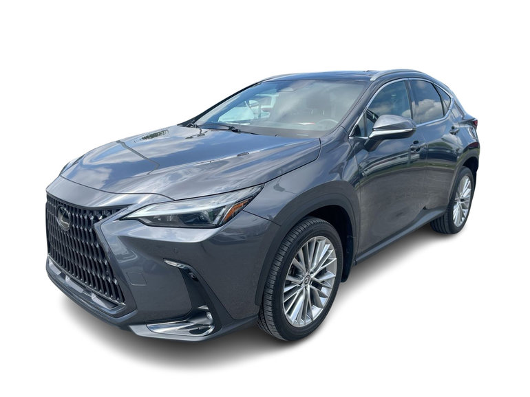 2023 Lexus NX
