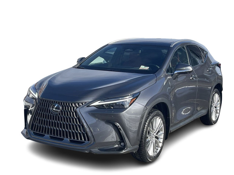 2024 Lexus NX