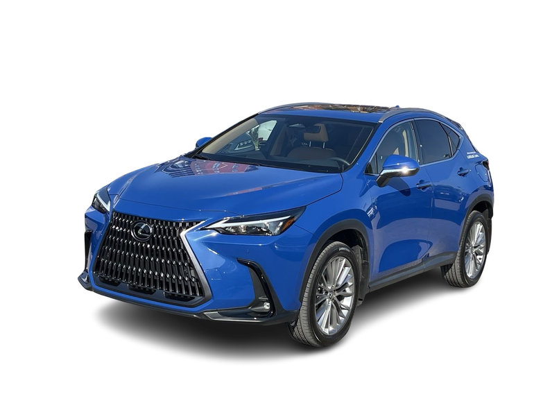 2024 Lexus NX