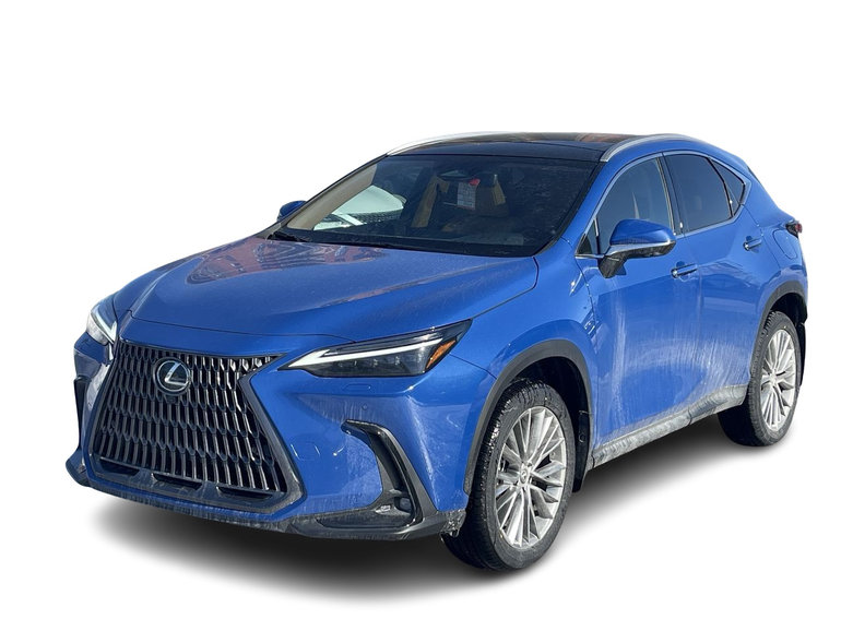 2024 Lexus NX