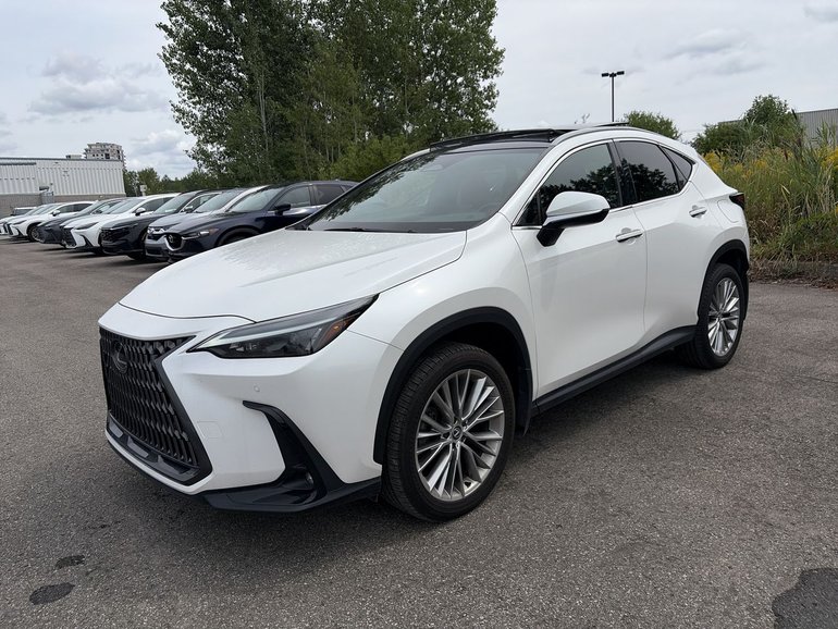 2024 Lexus NX