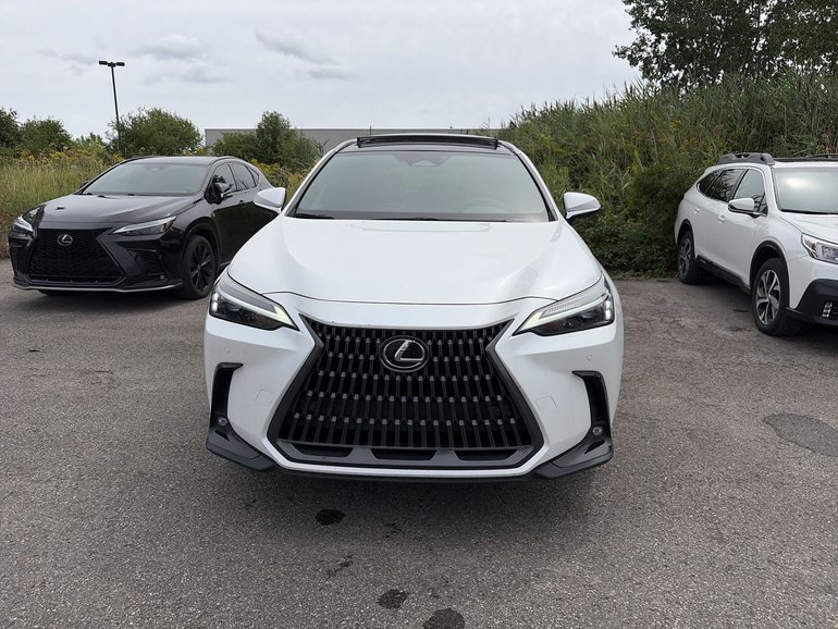 2024 Lexus NX