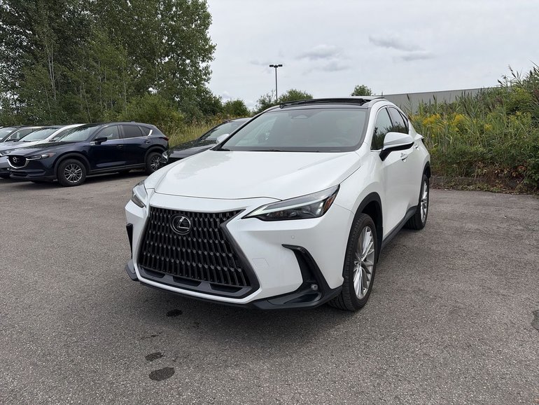 2024 Lexus NX